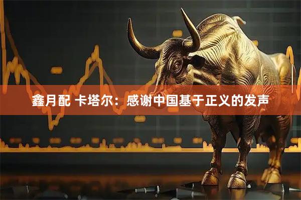 鑫月配 卡塔尔：感谢中国基于正义的发声