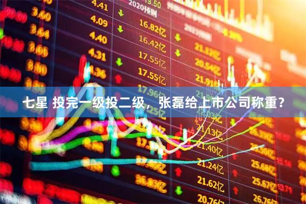 七星 投完一级投二级，张磊给上市公司称重？