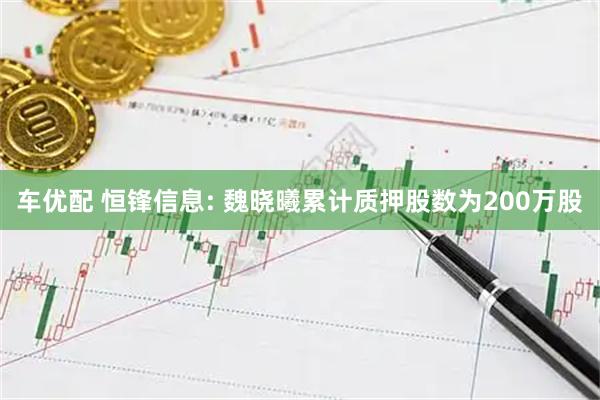 车优配 恒锋信息: 魏晓曦累计质押股数为200万股