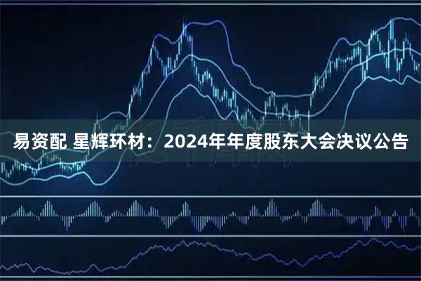 易资配 星辉环材：2024年年度股东大会决议公告