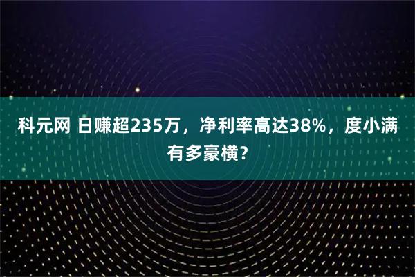 科元网 日赚超235万，净利率高达38%，度小满有多豪横？