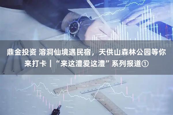 鼎金投资 溶洞仙境遇民宿，天供山森林公园等你来打卡｜“来这澧爱这澧”系列报道①