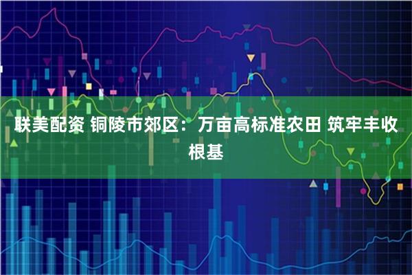 联美配资 铜陵市郊区：万亩高标准农田 筑牢丰收根基